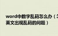 word中数字乱码怎么办（怎么解决在WORD中输入数字、英文出现乱码的问题）