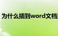为什么插到word文档里的图片只有中间一条