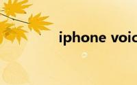 iphone voiceover怎么用