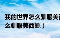 我的世界怎么驯服美西螈手机版（我的世界怎么驯服美西螈）