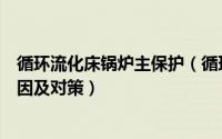 循环流化床锅炉主保护（循环流化床锅炉减温器出现故障原因及对策）
