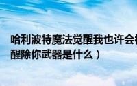 哈利波特魔法觉醒我也许会被你除掉武器（哈利波特魔法觉醒除你武器是什么）