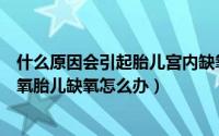 什么原因会引起胎儿宫内缺氧（哪些情况会导致胎儿宫内缺氧胎儿缺氧怎么办）