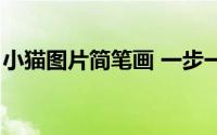 小猫图片简笔画 一步一步（小猫图片简笔画）