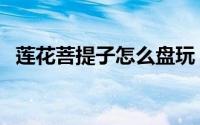 莲花菩提子怎么盘玩（莲花菩提子怎么盘）