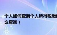 个人如何查询个人所得税缴纳记录（个人所得税纳税记录怎么查询）