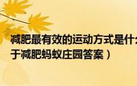 减肥最有效的运动方式是什么（以下哪一种运动方式更有利于减肥蚂蚁庄园答案）