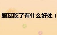 鲍菇吃了有什么好处（吃鲍鱼菇有什么好处）
