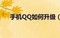 手机QQ如何升级（手机QQ怎么升级）