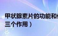 甲状腺素片的功能和作用（高中甲状腺激素的三个作用）
