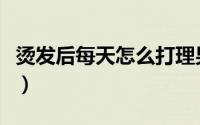 烫发后每天怎么打理男（烫发后每天怎么打理）
