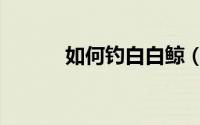 如何钓白白鲸（钓白白鲸技巧）