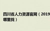 四川省人力资源官网（2019年四川省人力资源考试报名入口哪里找）