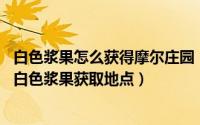 白色浆果怎么获得摩尔庄园（摩尔庄园白色浆果在哪里获得 白色浆果获取地点）