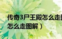 传奇3尸王殿怎么走图解大全（传奇3尸王殿怎么走图解）
