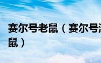 赛尔号老鼠（赛尔号游戏攻略之如何获得比比鼠）