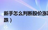 新手怎么判断股价涨跌（新手如何判断股价涨跌）