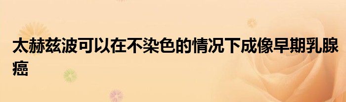 太赫兹波可以在不染色的情况下成像早期乳腺癌