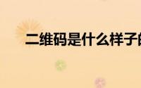 二维码是什么样子的（二维码是什么）