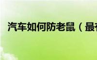 汽车如何防老鼠（最有效汽车防老鼠方法）