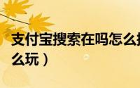 支付宝搜索在吗怎么搜索（支付宝搜索在吗怎么玩）