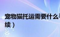 宠物猫托运需要什么手续（猫托运需要什么手续）