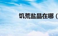 饥荒盐晶在哪（饥荒盐矿在哪）