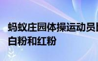 蚂蚁庄园体操运动员比赛前为什么要往手上涂白粉和红粉