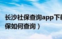 长沙社保查询app下载（我的长沙APP个人社保如何查询）