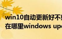 win10自动更新好不好在哪（win10自动更新在哪里windows update）