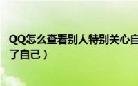 QQ怎么查看别人特别关心自己（QQ如何查看别人特别关心了自己）