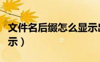 文件名后缀怎么显示出来（文件名后缀如何显示）