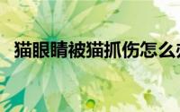 猫眼睛被猫抓伤怎么办（被猫抓伤怎么办）