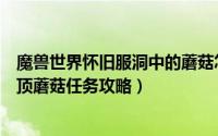 魔兽世界怀旧服洞中的蘑菇怎么做（魔兽世界TBC怀旧服亮顶蘑菇任务攻略）