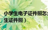 小学生电子证件照怎么弄（如何快速制作小学生证件照）