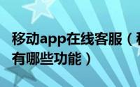 移动app在线客服（移动手机端在线客服系统有哪些功能）
