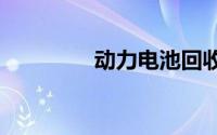 动力电池回收成“香饽饽”