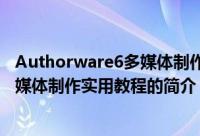 Authorware6多媒体制作实用教程（关于Authorware6多媒体制作实用教程的简介）
