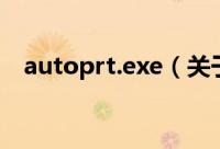autoprt.exe（关于autoprt.exe的简介）