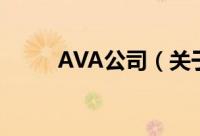 AVA公司（关于AVA公司的简介）