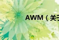AWM（关于AWM的简介）