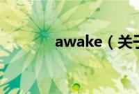 awake（关于awake的简介）