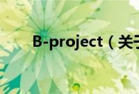 B-project（关于B-project的简介）