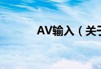 AV输入（关于AV输入的简介）