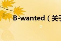 B-wanted（关于B-wanted的简介）