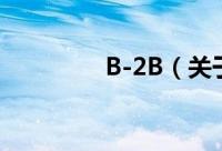 B-2B（关于B-2B的简介）