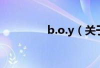 b.o.y（关于b.o.y的简介）