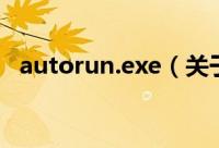 autorun.exe（关于autorun.exe的简介）