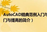 AutoCAD精典范例入门与提高（关于AutoCAD精典范例入门与提高的简介）