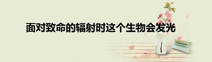 面对致命的辐射时这个生物会发光